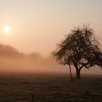 Banet-sart A