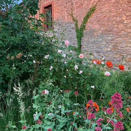 Σπίτι διακοπών Banet-sart A Daverdisse