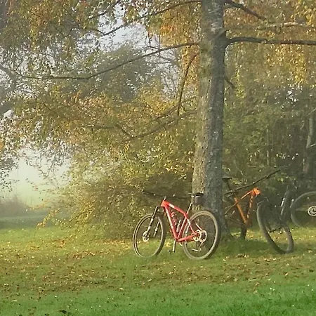 Banet-sart A Feriehus Daverdisse