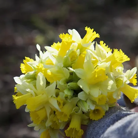 Banet-sart à Casa vacanze