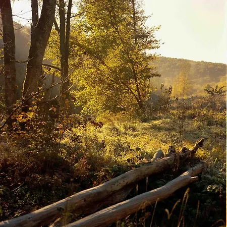 Banet-sart A Daverdisse