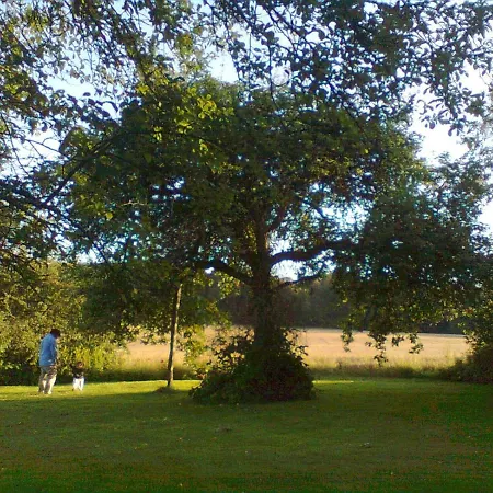 Banet-sart A Prázdninový dům *