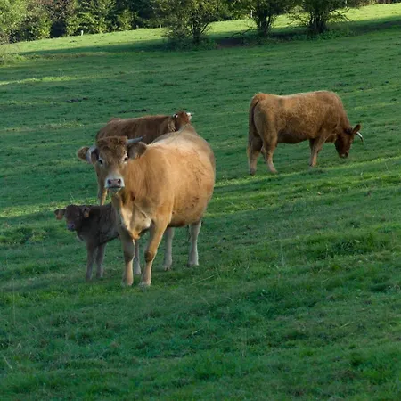 Banet-sart A Prázdninový dům
