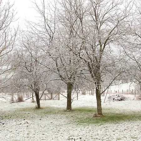 Banet-sart A * Daverdisse