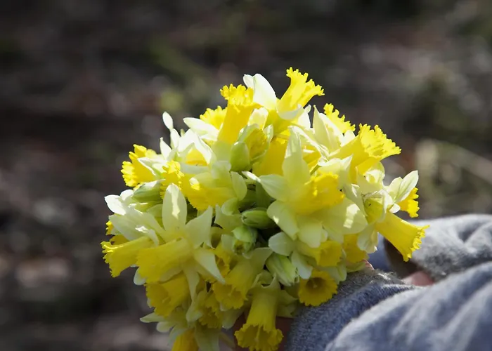 Banet-sart à Casa vacanze