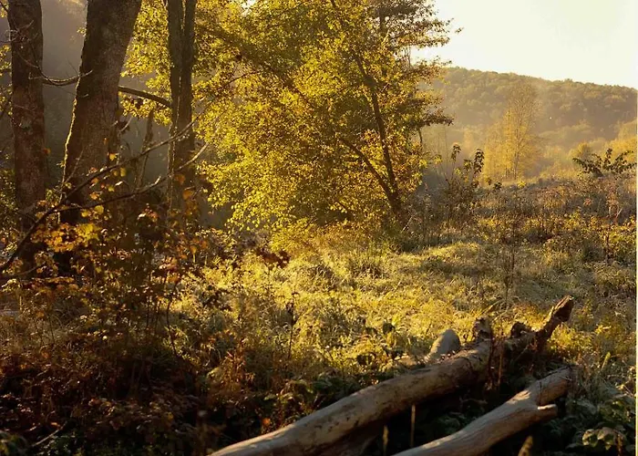 Banet-sart à Daverdisse