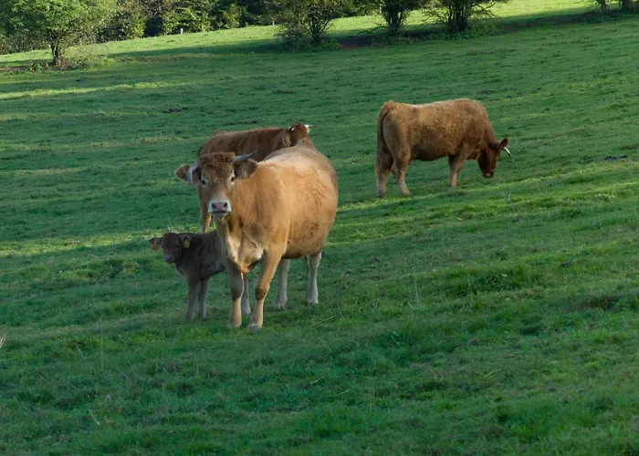 Banet-sart à Casa vacanze
