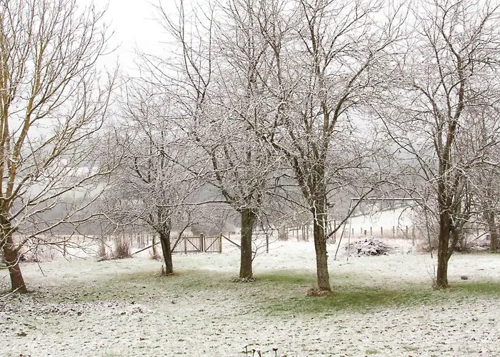 Banet-sart à * Daverdisse